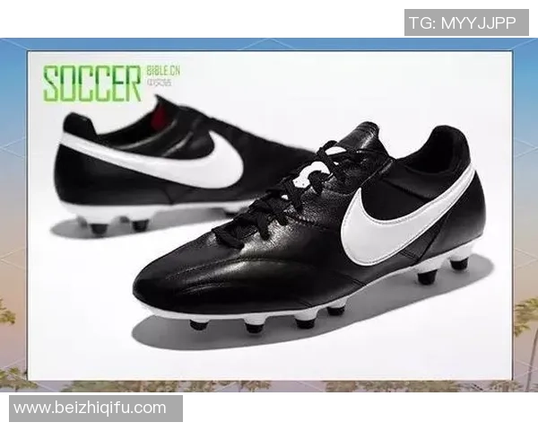 每盒足球球星贴纸包含多少张？揭秘你未曾知道的秘密和收集技巧